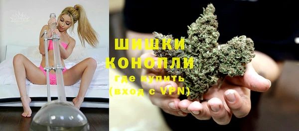 PSILOCYBIN Беломорск