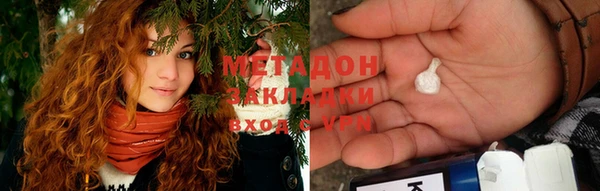 гашик Богданович
