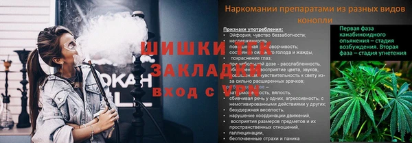 гашик Богородск
