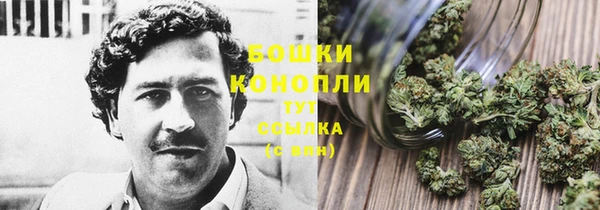 гашик Богородск