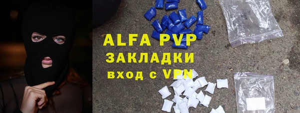 прущие грибы Белокуриха