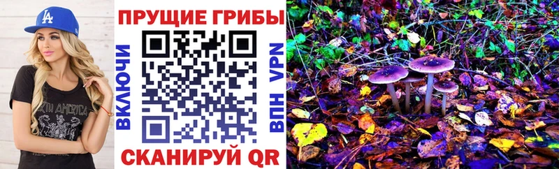 Галлюциногенные грибы мицелий  мега вход  Ковылкино  наркота 